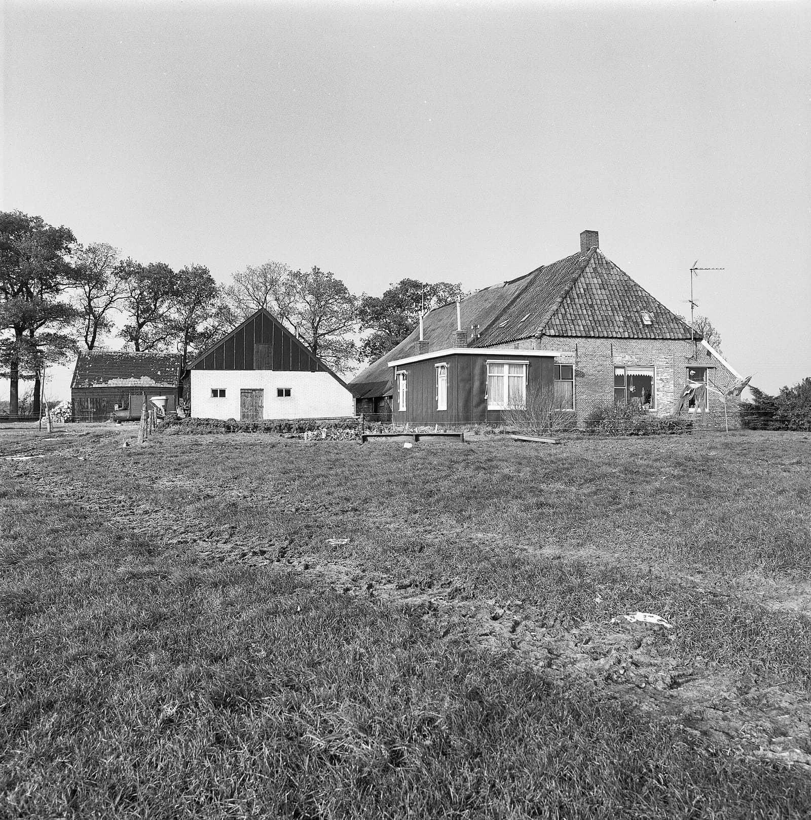 Boerderijen aan de rand van Koekange, 1980