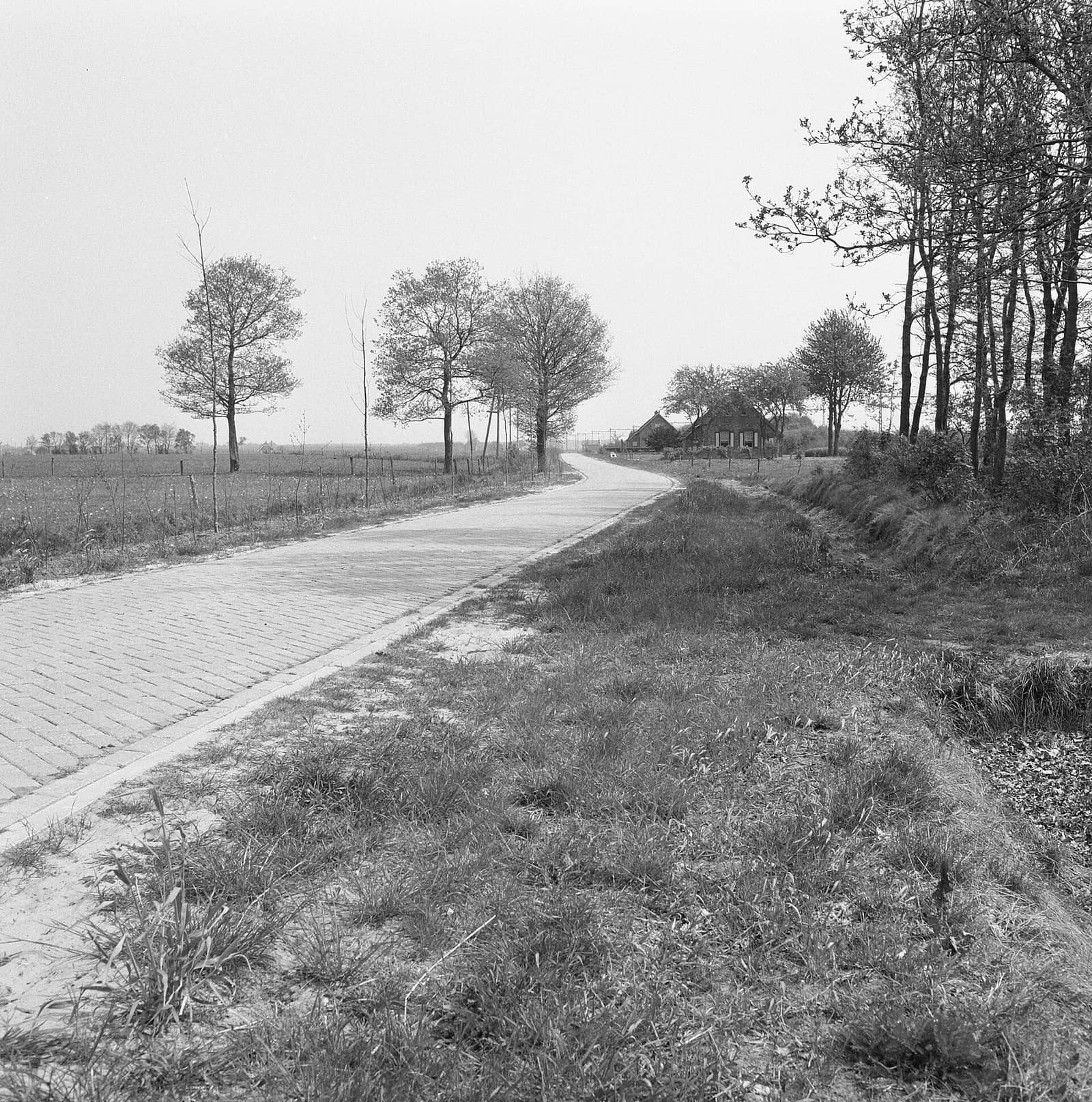 De nieuwe Koekangerveldweg van betonstenen, 1960